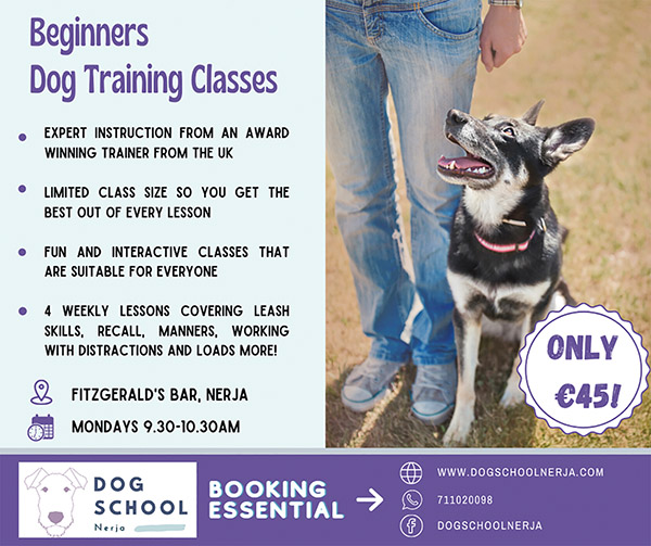 DogClass283