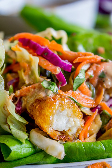 Food251d