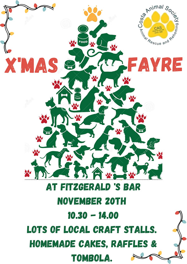 cas XMAS Fayre 2021