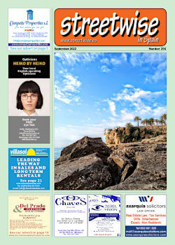 Cover page of Streetwise Magazine in Spain, issue 2022 09 no. 294 with link