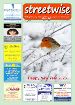 Cover page of Streetwise Magazine in Spain, issue 2023 01 no. 298 with link