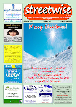 Cover page of Streetwise Magazine in Spain, issue 2023 12 no. 309 with link