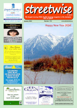 Cover page of Streetwise Magazine in Spain, issue 2024 01 no. 310 with link