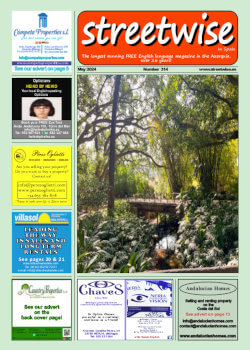 Cover page of Streetwise Magazine in Spain, issue 2024 05 no. 314 with link