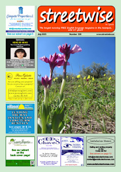 Cover page of Streetwise Magazine in Spain, issue 2025 07 no. 328 with link