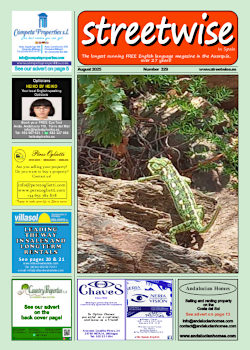 Cover page of Streetwise Magazine in Spain, issue 2025 08 no. 329 with link