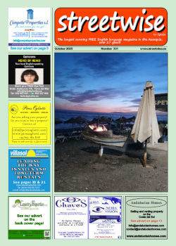 Cover page of Streetwise Magazine in Spain, issue 2025 10 no. 331 with link