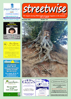 Cover page of Streetwise Magazine in Spain, issue 2025 11 no. 332 with link