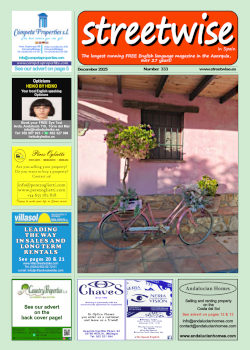Cover page of Streetwise Magazine in Spain, issue 2025 12 no. 333 with link