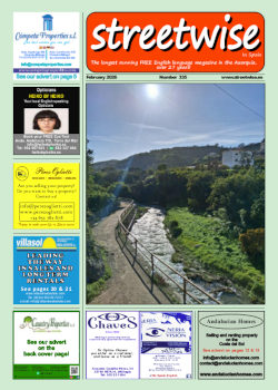 Cover page of Streetwise Magazine in Spain, issue 2026 02 no. 336 with link