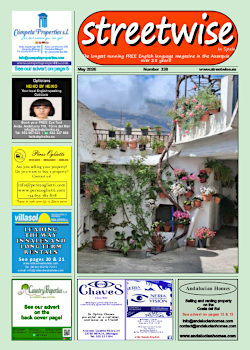 Cover page of Streetwise Magazine in Spain, issue 2026 05 no. 338 with link
