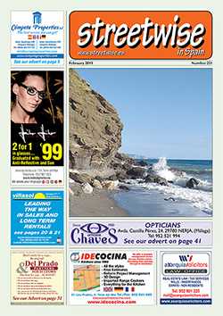 sw251coverwebarchive